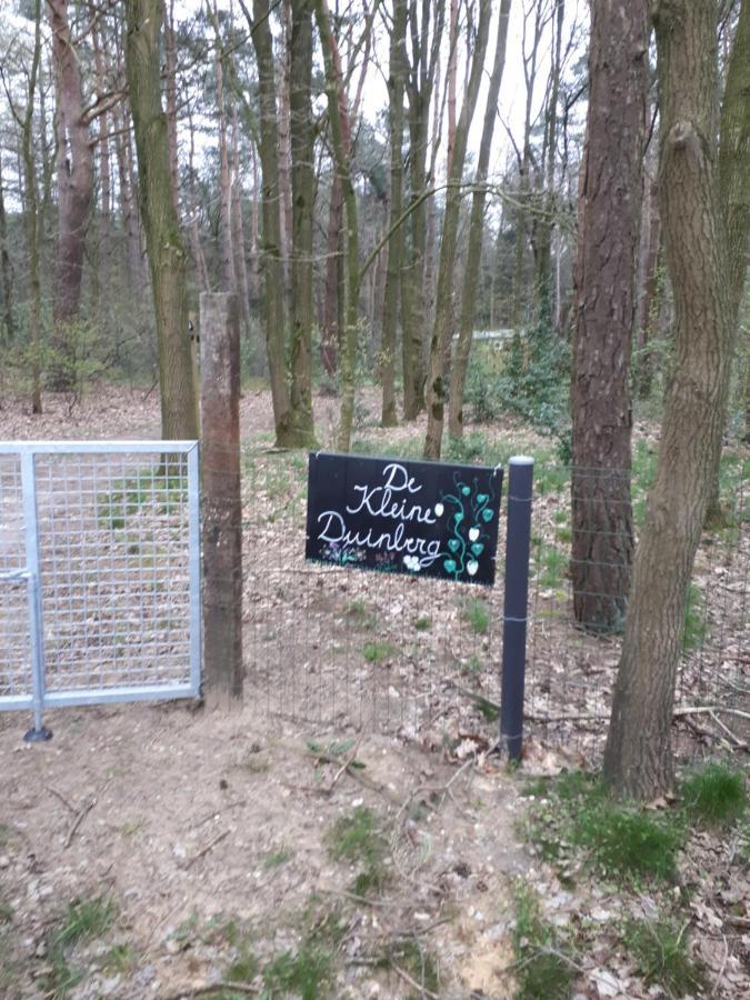 Vakantiewoning De Kleine Duinberg - Chalet Nr 11 レティ エクステリア 写真